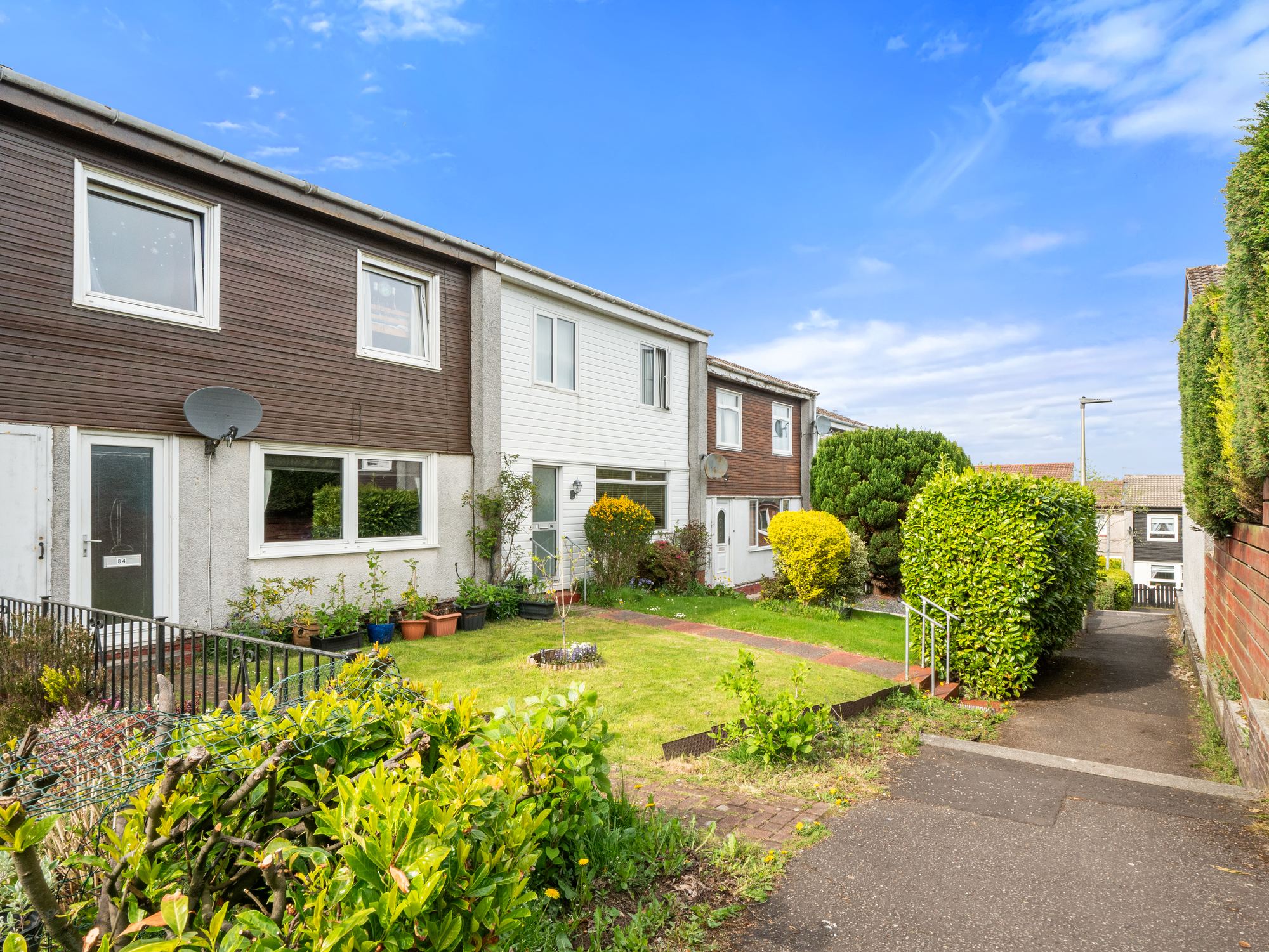 Terraced houses with front gardens and hedging